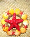HOme decor wholesale supply exporter distributes Tropical island door wreath decorated with seashells and starfish from China