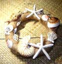 Interior design wholesale shop supplies Woven  wreath decor with large seashells, starfish ocean life shells from China