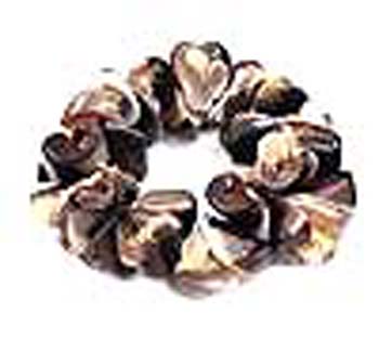 High quality jewelry distribution agent imports Fashion sea shell bracelet with elastic wrist band from China   / china-wholesale-product-exporter-002